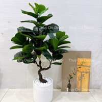 Cây giả - Cây bàng Singapore nhân tạo cao 1m2 trang trí decor chụp hình, decor quán cafe