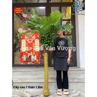 Cây Giả, Cây Cau 3 Thân 1,6m Và 1 Thân 1,8m Cây Trang Trí Decor