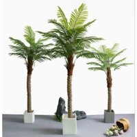 Cây Gỉa- cây chà là, cây Trà là giả - Cây cau cảnh giả trang trí nhà cửa, nội thất tạo không gian xanh mát.