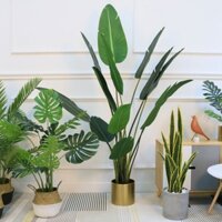 Cây giả, cây chuối cảnh 1m2 loại đẹp trang trí nhà cửa, quán cà phê tự nhiên giống thật kèm giỏ cói