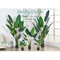 Cây Giả - Cây Chuối Cảnh Giả Trang Trí