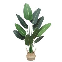 Cây giả, Cây Chuối Cảnh giống thật kèm giỏ cói trang trí nhà cửa, nhà hàng, quán cafe từ 1m-1m8