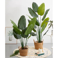 CÂY GIẢ, CÂY CHUỐI CẢNH LÁ BÓNG NHIỀU CỠ 1,2m 1,6m 2m