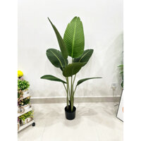 cây giả- cây chuối lá mờ cao 1m2