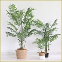 Cây giả, Cây Dừa cảnh 200cm - Cây giả Decor trang trí nhà cửa nội thất phòng khách, phòng ngủ  juminhome