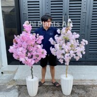 Cây giả - Cây Hoa Anh Đào giả trang trí decor Tết, cây hoa mai giả, cây đào giả