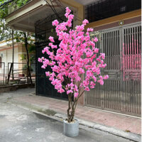 Cây giả-cây hoa anh đào giả màu hồng đậm cao 2m5 trang trí nhà cửa,phòng ngủ
