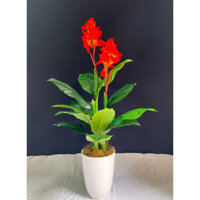 Cây giả -cây hoa dong đỏ 1m2 hằng decor