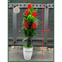 {Cây giả} Cây hoa thanh long | Cây phát tài phát Lộc giả trang trí