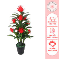 Cây Giả_ Cây Hoa Thanh Long Cây Phát Tài Phát Lộc  9 Quả, Cao 1.7M Decor Siêu Đẹp - Trang Trí Ngọc Minh