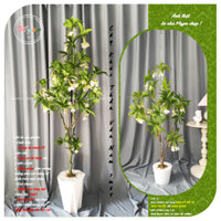 Cây giả, Cây Khúc Thần Vân Nam trang trí nhà cửa, homestay, quán cà phê,...cao 1m1, 1m35, 1m65