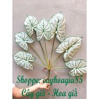 Cây giả _ Cây lá Khoai lá Trắng