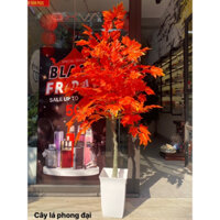 Cây Giả 🌺 Cây Lá Phong Đỏ Lá To