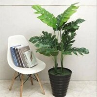 Cây giả cây lá rùa phong thủy cao 1met