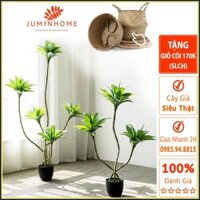 Cây giả, Cây lược vàng giả - Cây giả decor trang trí nhà cửa nội thất phòng khách phòng ngủ  juminhome