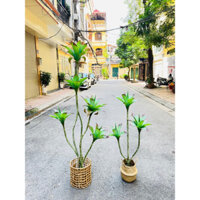 Cây giả ,cây lược vàng giả trang trí nhà cao 1m1,1m6