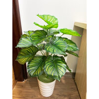 CÂY GIẢ - CÂY TRẦU BÀ LÁ SỌC 75CM