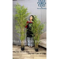 Cây Giả, Cây Trúc Cao 1,5m Và 2m Có chậu Trang Trí Decor