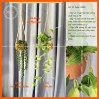 Cây giả, Chậu cây rũ, dây leo giả kèm chậu đất nung trang trí nhà cửa 70,85cm