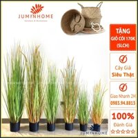 Cây giả, cỏ bông lau giả, hoa cỏ lau khô - Cây giả decor trang trí nhà cửa nội thất phòng khách phòng ngủ  juminhome