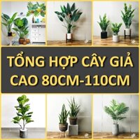 Cây giả decor, bàng singapore, chuối giả, trầu bà lá xẻ, thiên điểu, phát tài núi, dừa cảnh, kim tiền, lưỡi hổ 80-110cm
