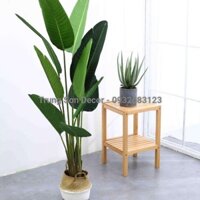 Cây giả trang trí: Bộ Cây Chuối Cảnh (3 Cây)