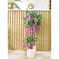 Cây giả trang trí - Hoa tử đằng, cây tử đằng giả trang trí nhà cửa, decor nội thất giống hết cây thật Lan Decor