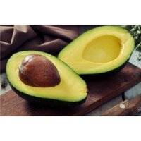 Cây giống Bơ Sáp Đăk Lăk [RẺ HƠN HOÀN TIỀN] _)