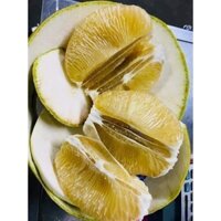 Cây giống bưởi năm roi