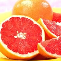 CÂY GIỐNG CAM CARA RUỘT ĐỎ KHÔNG HẠT [Giống Ghép - SIÊU SỚM ].