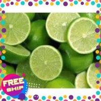 Cây giống Chanh không hạt cây giống chuẩn sai quả cho năng suất cao + Tặng 02 cây nhót ngọt