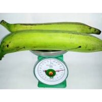 Cây giống chuối tá quạ cấy mô (có bảo hành)