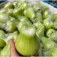 cây giống Mận tam Hoa,mận xanh đường