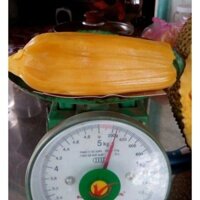 Cây giống mít trái dài (cây ghép siêu sớm) (mua nhiều có giá sỉ 0354736301)