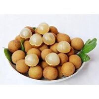 Cây giống Nhãn Hương Chi [ Siêu sớm, siêu trái ]. [ BẦU TO NẶNG 3KG ]