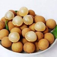 CÂY GIỐNG NHÃN LỒNG KHÔNG HẠT