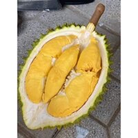 cây giống sầu riêng ri6 hạt lép chuẩn