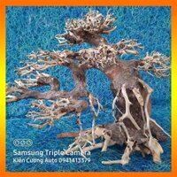 Cây gỗ lũa thủy sinh  cho bể cá cảnh, gỗ lúa cao cấp (Mẫu 2)