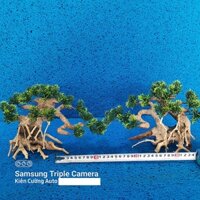 Cây gỗ lũa thủy sinh sử dụng cho bể cá cảnh, gỗ lúa cao cấp ngang 22cm cao 19cm