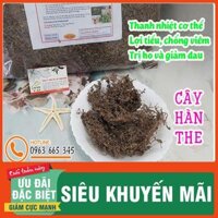 Cây Hàn The 1Kg - Thu Hái Và Phơi Khô Tự Nhiên 981SP
