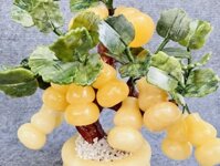 Cây Hồ Lô Tài Lộc