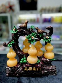 CÂY HỒ LÔ TÀI LỘC