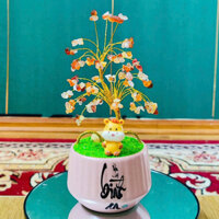 CÂY HOA ĐÁ NGHỆ THUẬT BONSAI 6 CON GIÁP (NGỌ MÙI THÂN DẬU TUẤT HỢI) TẶNG TƯỢNG THEO CÂY TRANG TRÍ ĐẸP GÓC PHÒNG CỦA BẠN