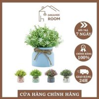 Cây hoa giả Dreamee Room