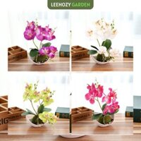 Cây Hoa Giả Kèm Chậu Để Bàn, Hoa Phong Lan Trang Trí, Hoa Giả Decor Trang Trí Nhà Cửa