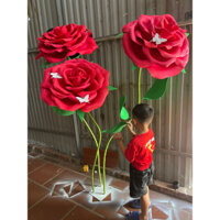 cây hoa Hồng khổng lồ 1 cụm 3 cây bông trang trí