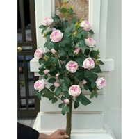 Cây hoa hồng trà Ohara Nhân Tạo  Hà Hoa Flower cao 1m1 thân phủ rêu ( không kèm chậu)