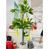 Cây hoa KÈN TÂY 185cm trang trí decor nhà cửa sang trọng [phụ kiện HTD]