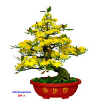 Cây hoa mai/ đào bonsai thân nhựa lắp ráp