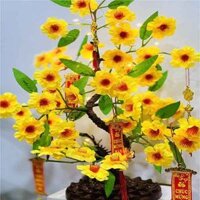 Cây hoa mai giả cao 50 cm